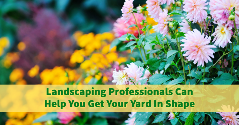 landscapers