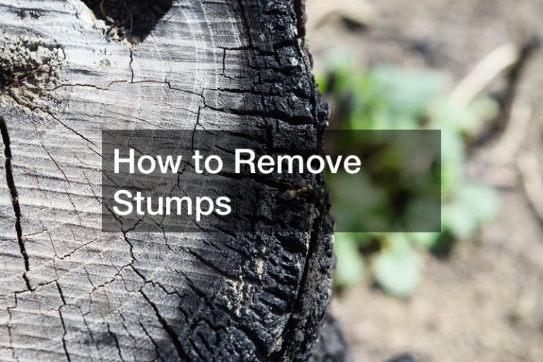 stump grinding companies