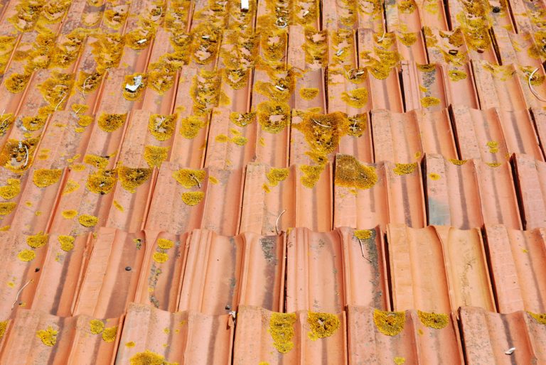 Old and dirty roof tiles (frontview)