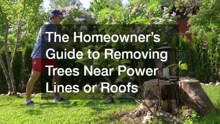 2176_476_351277941_0