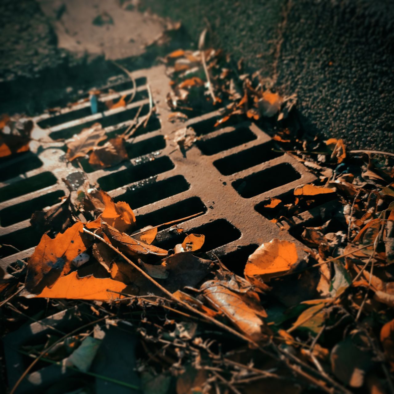 Signs of a Clogged Drain: Common Warning Signs to Know
